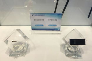 大唐微電子與晶科微電子攜手亮相第二屆生物識別博覽會，展現科技創新實力