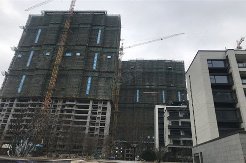 富力運河十號 優勢與不足分析及周邊經紀評價