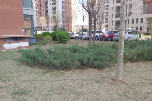 金海城綜合評(píng)價(jià) 優(yōu)勢(shì)、不足與周邊中介服務(wù)分析